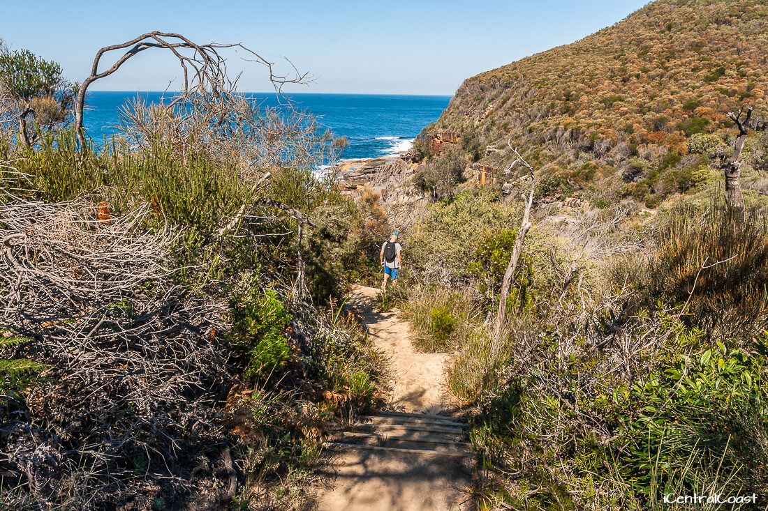 Bouddi Coastal Walk - ICentralCoast