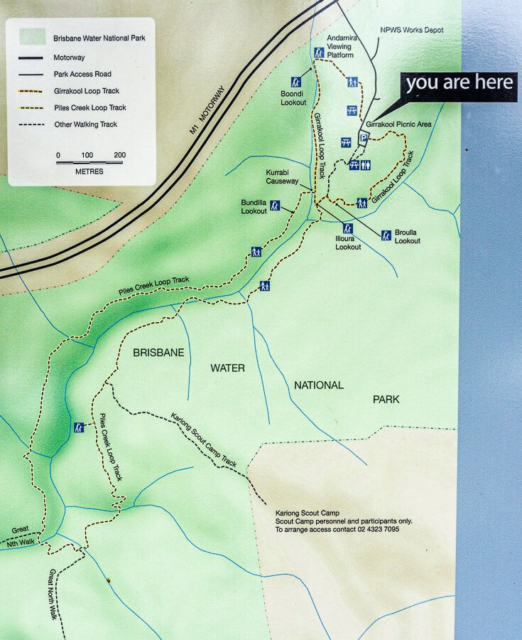 Piles Creek Loop (Complete Guide) – iCentralCoast