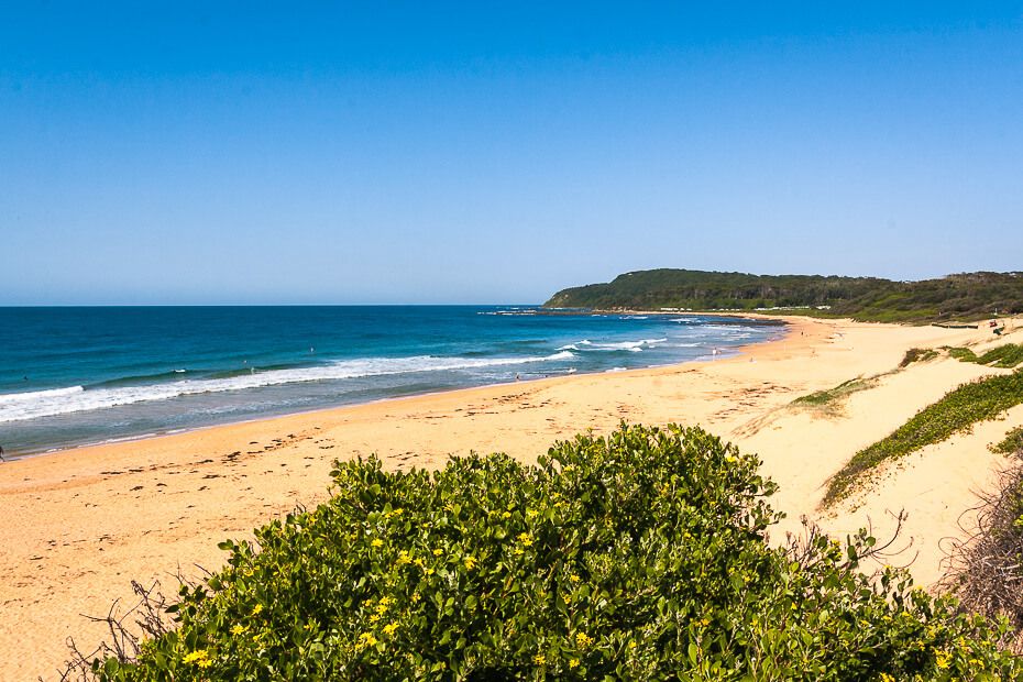 Discover Shelly Beach Nsw Icentralcoast