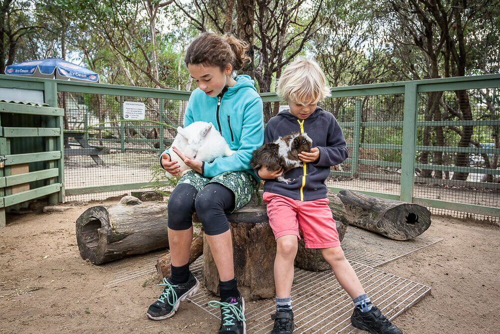 Kids holding animals at Australia Walkabout Wildlife Park on the Central Coast