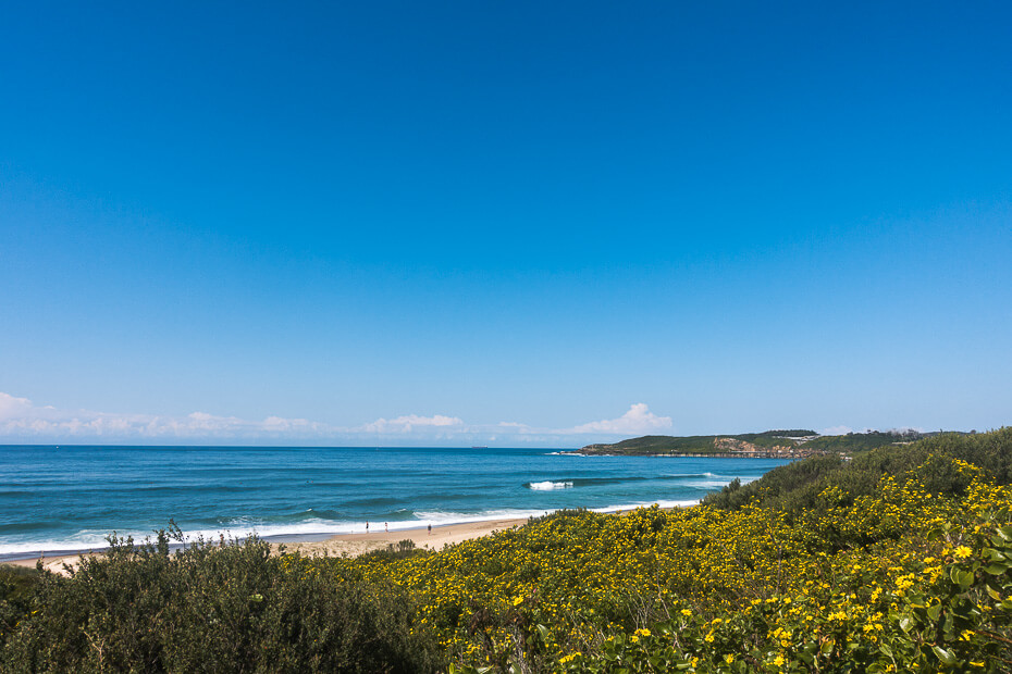 Coastal view of Catherine Hill Bay with sand dunes and ocean, Lake Macquarie NSW