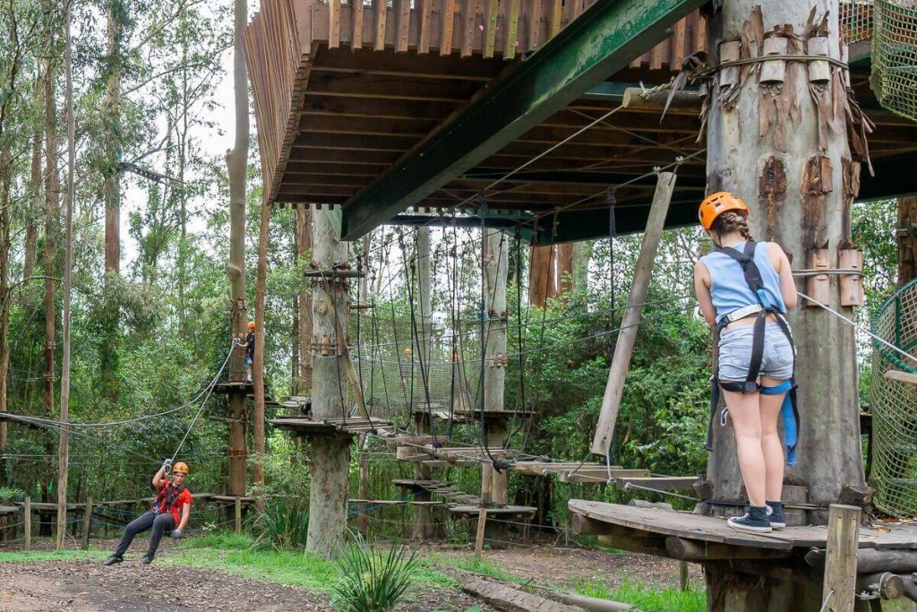 Treetops adventure park with ropes course on the Central Coast