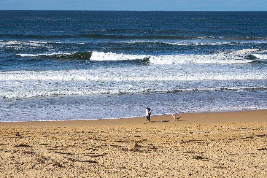 Person walking a dog near the ocean at a dog-friendly beach on the Central Coast