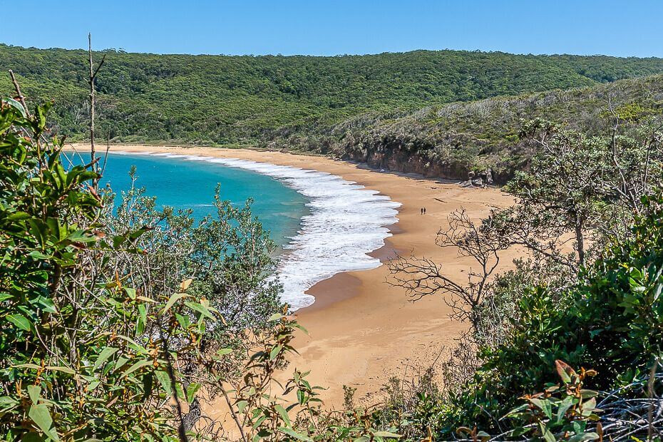 Lookout view over Maitland Bay from Bouddi National Park