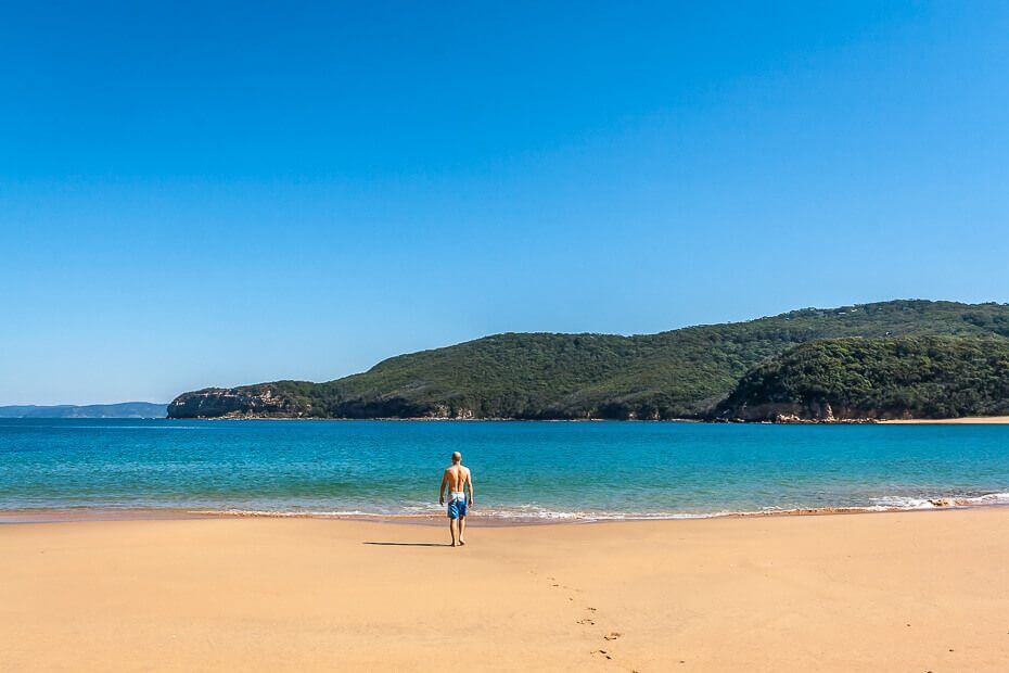 Walking track through Bouddi National Park on the way to Maitland Bay