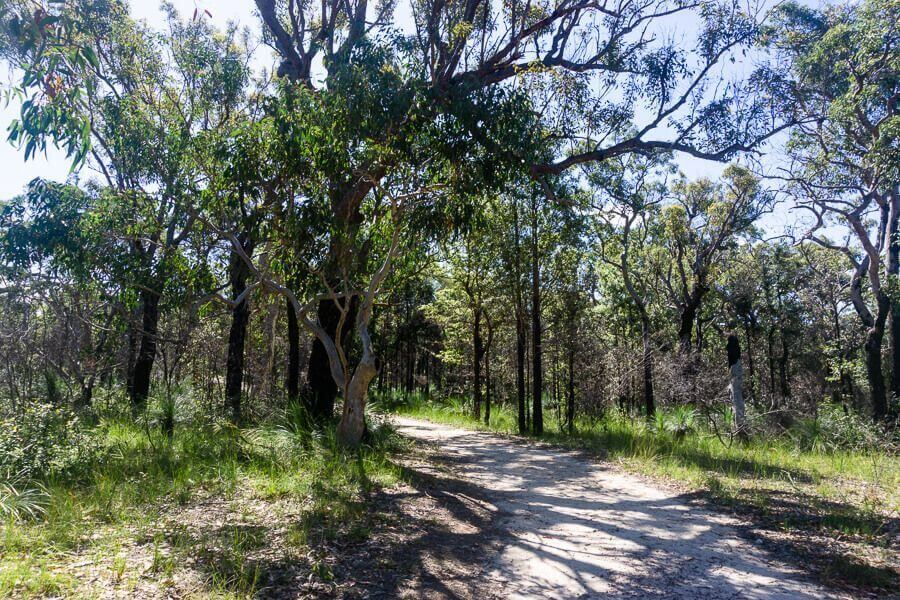 Resolute Beach Loop Walk Guide Shaded bushland walking trail on the Resolute Beach Loop Walk