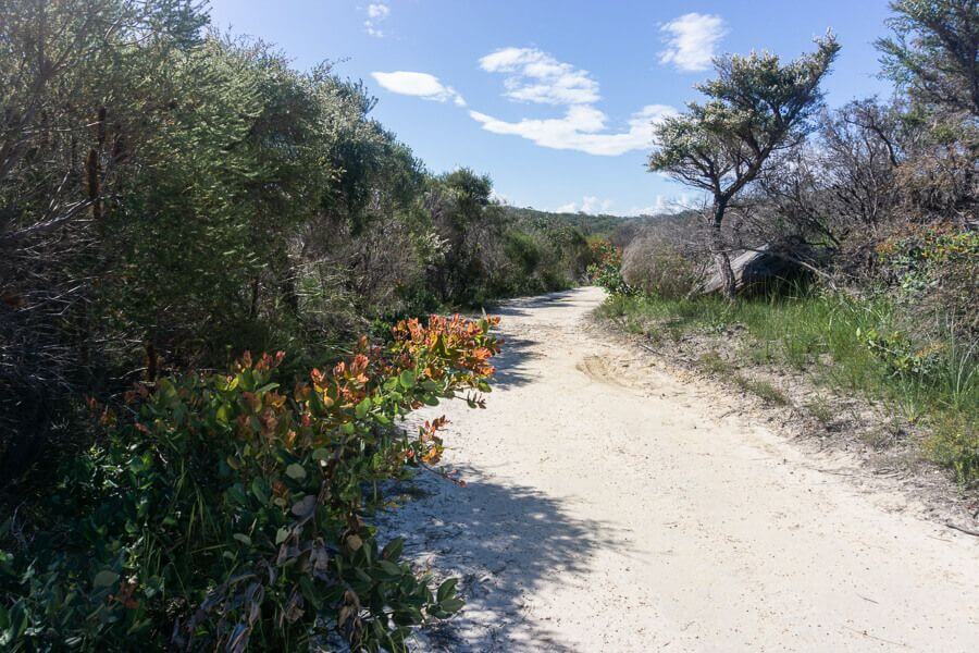Resolute Beach Loop Walk Guide Wide sandy walking track on the Resolute Beach Loop Walk
