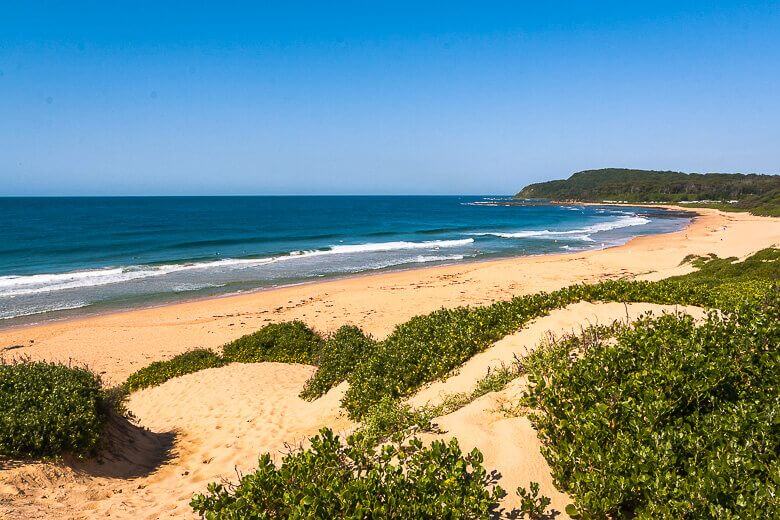 Wide sandy shoreline and rolling waves at Shelly Beach on the Central Coast