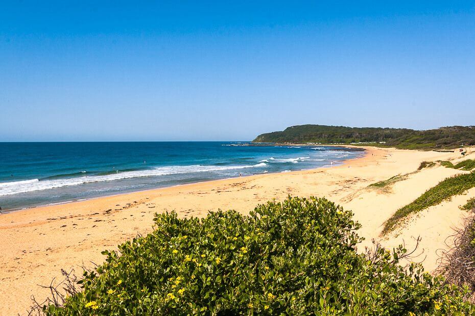 Shelly Beach on the Central Coast NSW with golden sand and ocean views