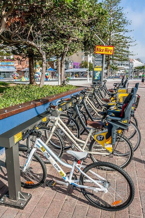 Bicycle hire station with several bikes lined up near Tuggerah Lake