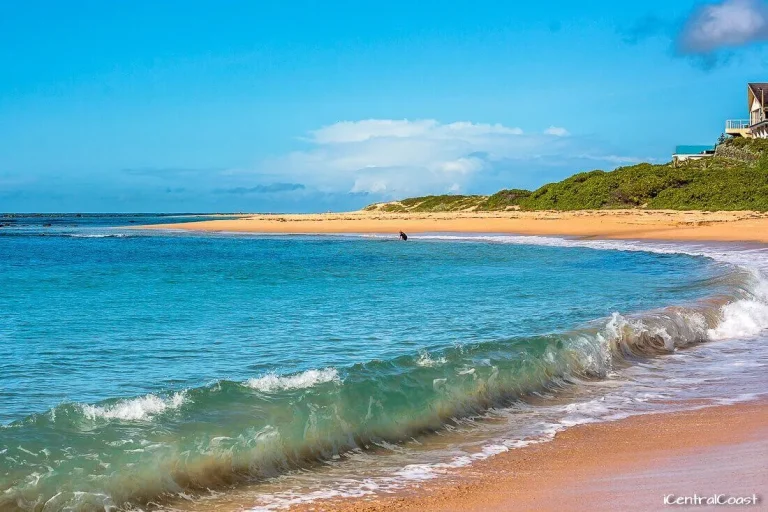blue bay beach central coast nsw 768x512