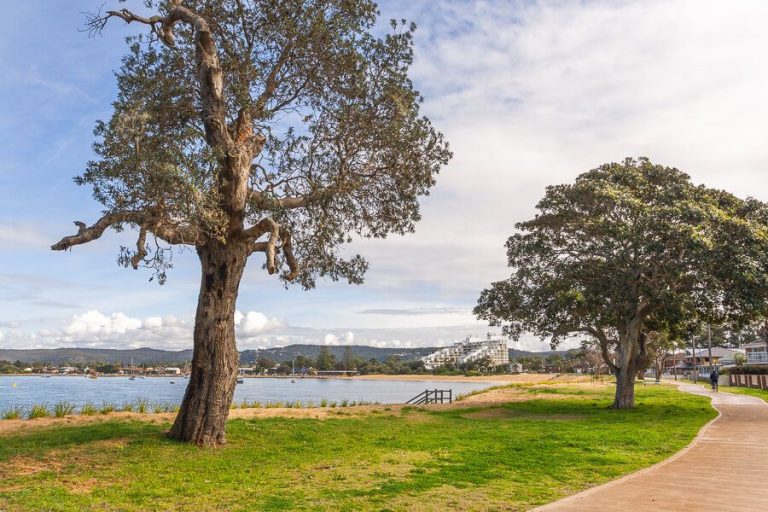 ettalong beach waterfront walk central coast 2 768x512