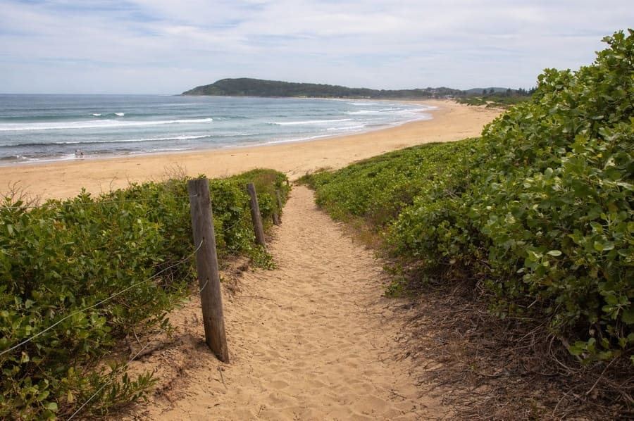 Sandy beach access track leading through coastal vegetation to Toowoon Bay on the Central Coast NSW