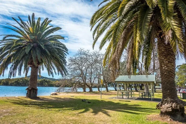 woy woy waterfront picnic area brisbane water nsw 2 768x512