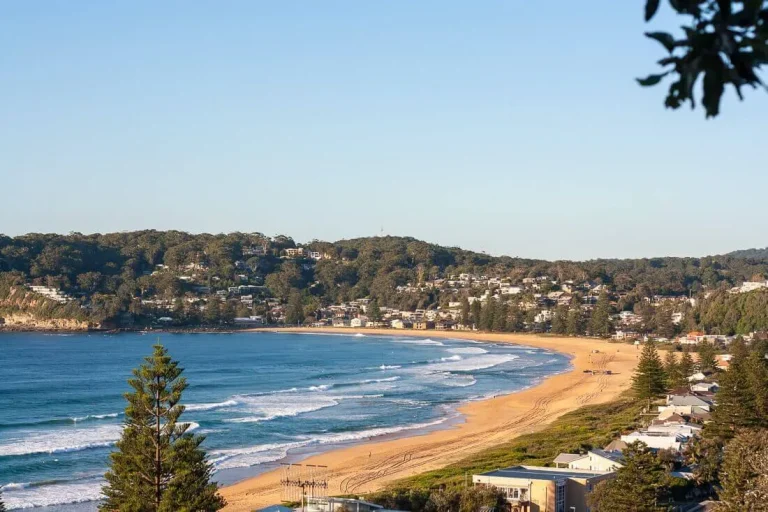 avoca beach coastline view 768x512