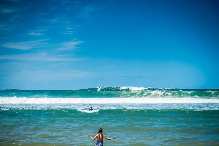 avoca beach ocean waves swimming 768x512