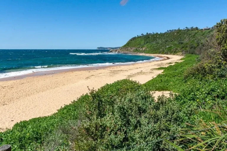 forresters beach coastal bushland central coast 1 768x512