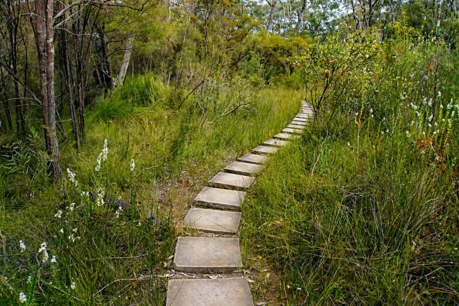 Girrakool Loop Track stepping stones Brisbane Water National Park Central Coast NSW