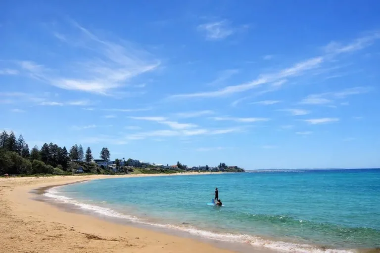 toowoon bay calm beach clear water central coast 768x512