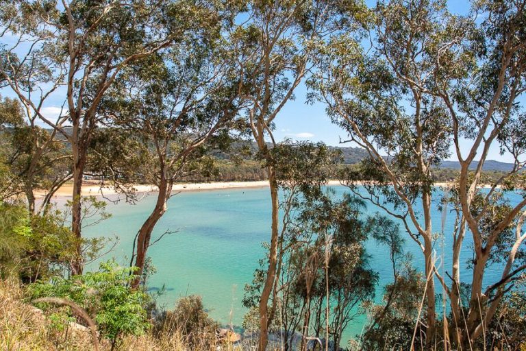 umina 12 768x512