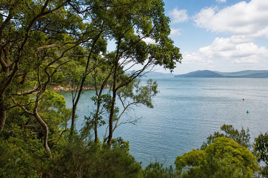 View approaching Lobster Beach on the Flannel Flower walking track