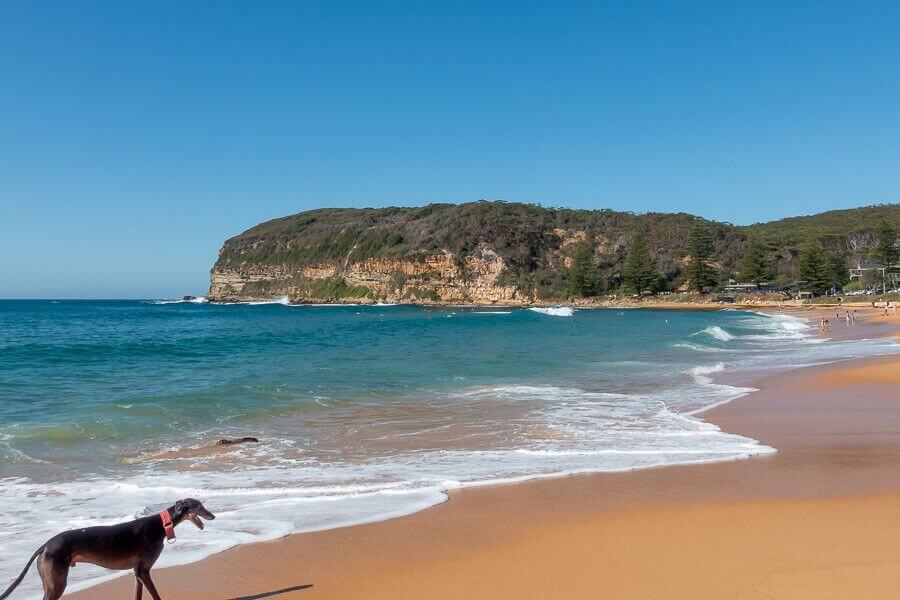 Walking along the beach between Copacabana and Macmasters Beach