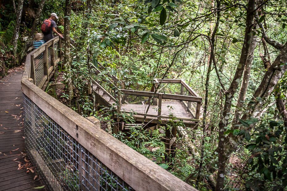 Boardwalk and viewing platform along Somersby Falls walking track