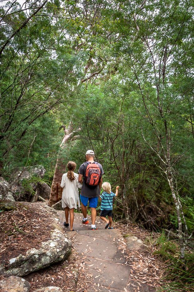 Family walking along Somersby Falls track through rainforest Central Coast
