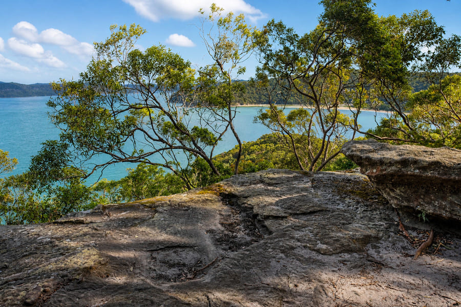 Tree framed view over Broken Bay from Warrah Lookout