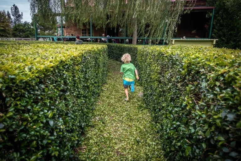 amazement farm fun park central coast kids 768x512