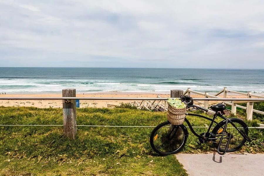 Bicycle with basket parked beside the foreshore overlooking Shelly Beach on the Central Coast NSW