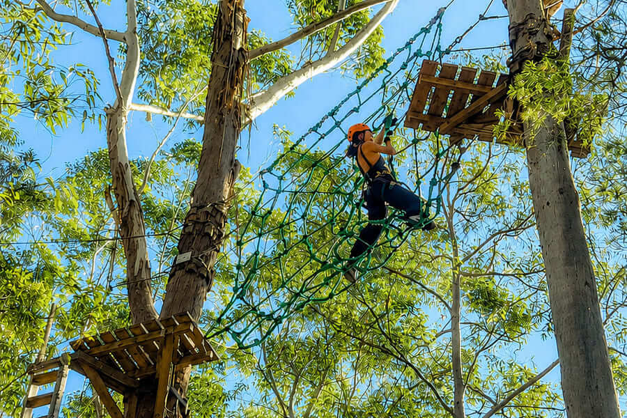 Visitor climbing a cargo net obstacle at Treetops Adventure Central Coast