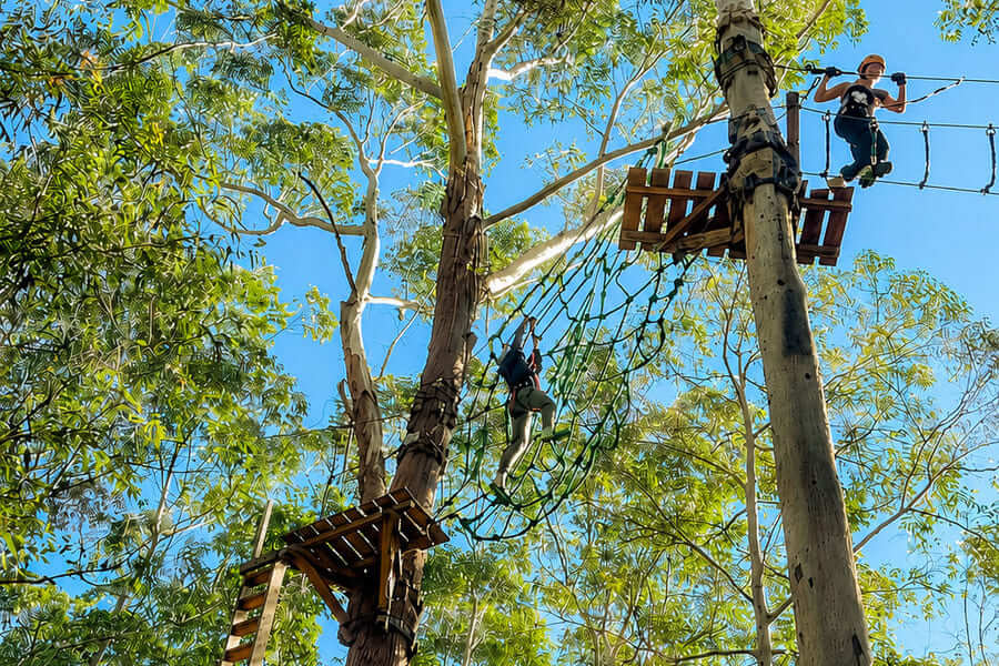 Visitors tackling aerial obstacles at Treetops Adventure Central Coast