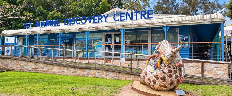 central coast marine discovery centre blue building shell sculpture 768x319