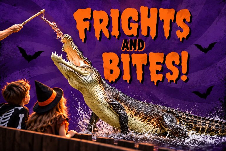 frights bites 768x512