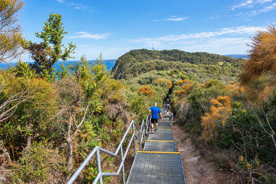 Metal stairs descending on Wyrrabalong Coast Walking Track Central Coast NSW