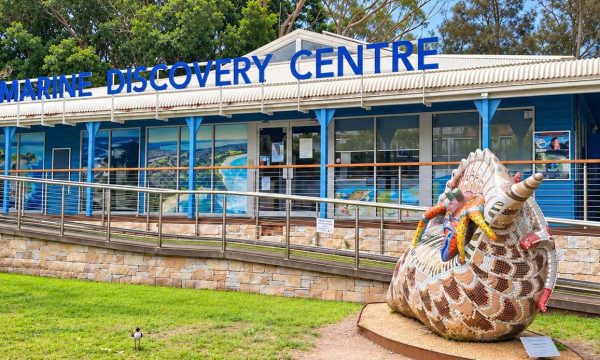 Central Coast Marine Discovery Centre exterior with blue building and large decorative shell sculpture