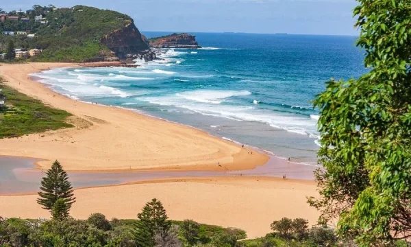 Elevated view of North Avoca Beach and coastline on the Central Coast NSW