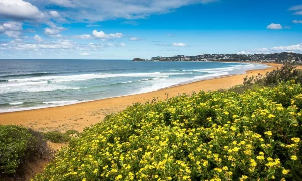 View of Wamberal Beach and coastline on the Central Coast NSW